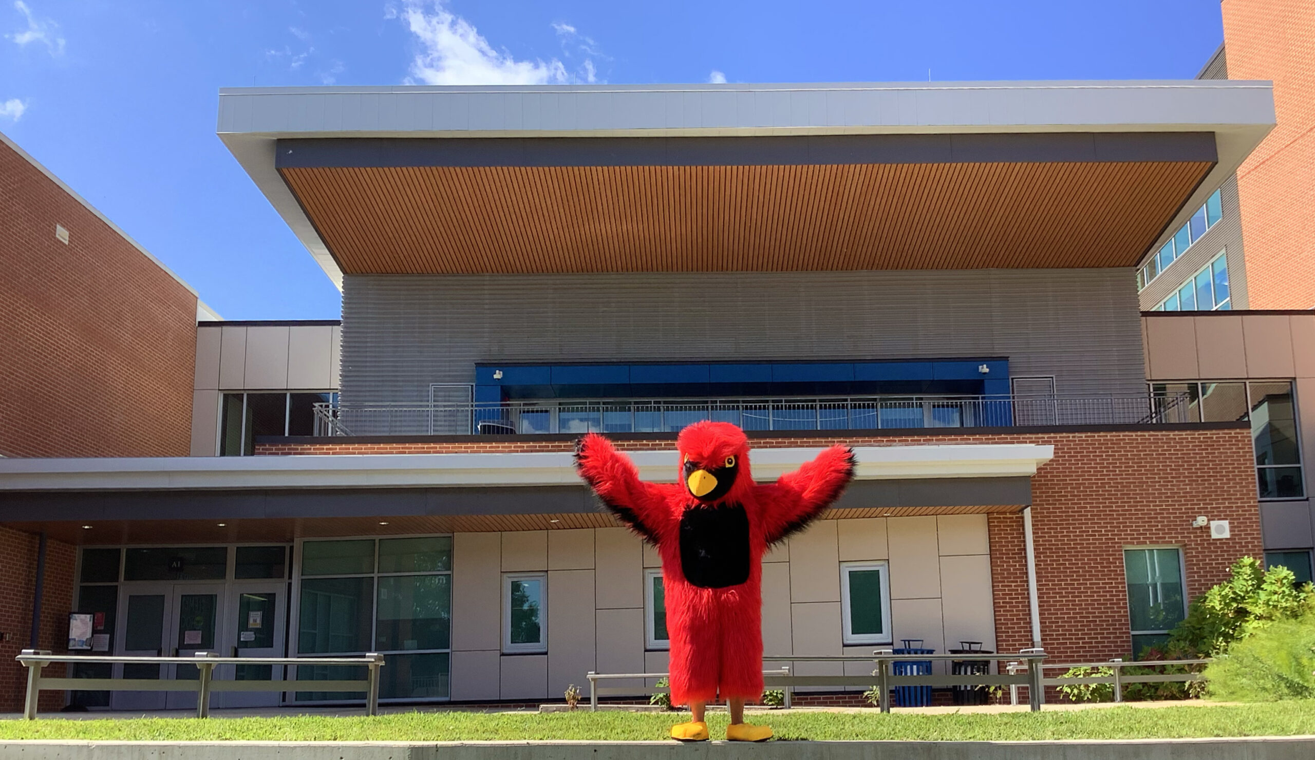 Cardinal mascot
